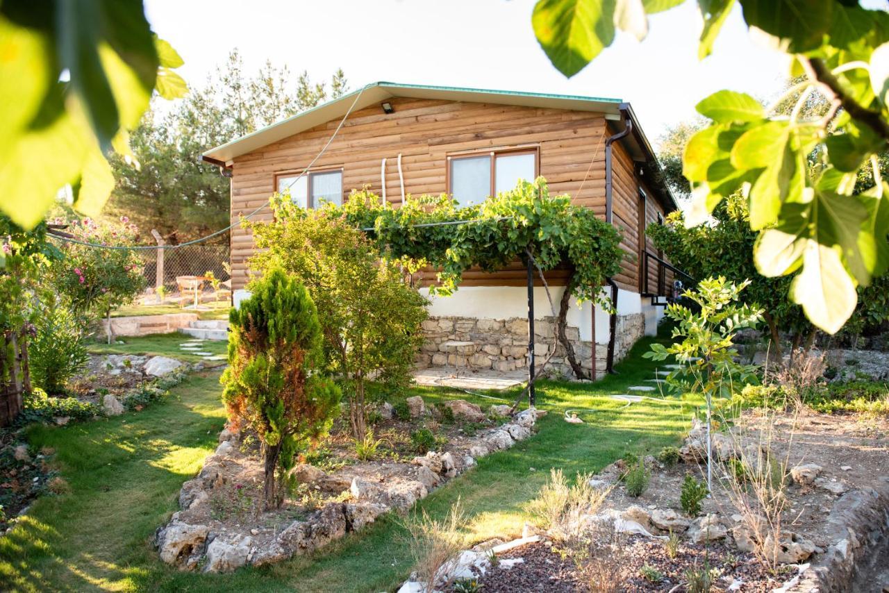 My House Urla Hotel İzmir Luaran gambar